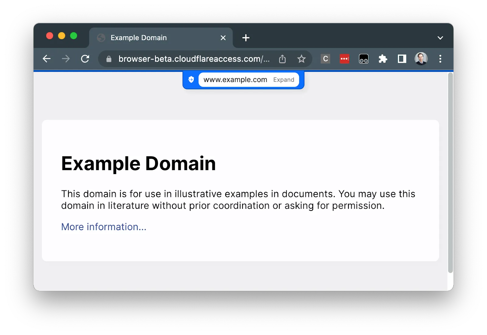 Viewing hostname of an isolated page in the clientless remote browser